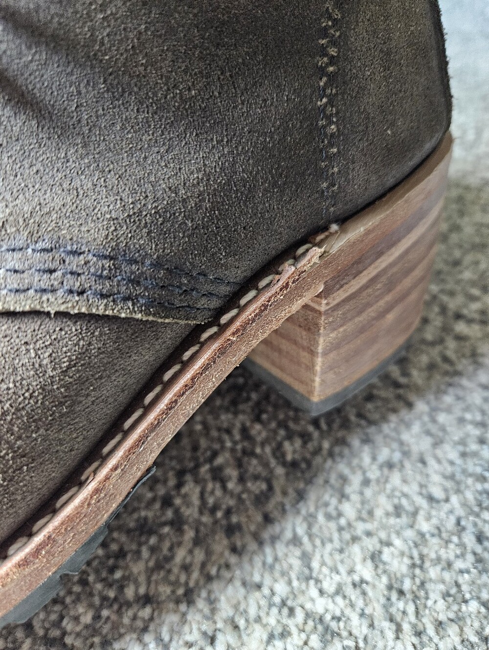 Olive Redwing Suede Lace-Up Ankle Boots - Picture 5 of 9